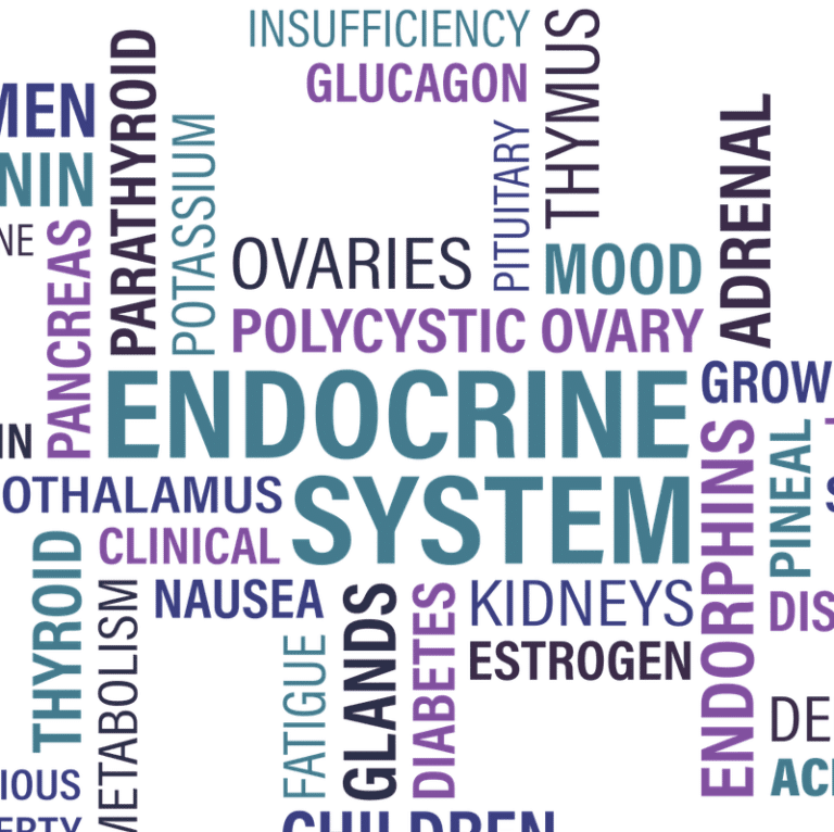 thyroid, thyroid optimization