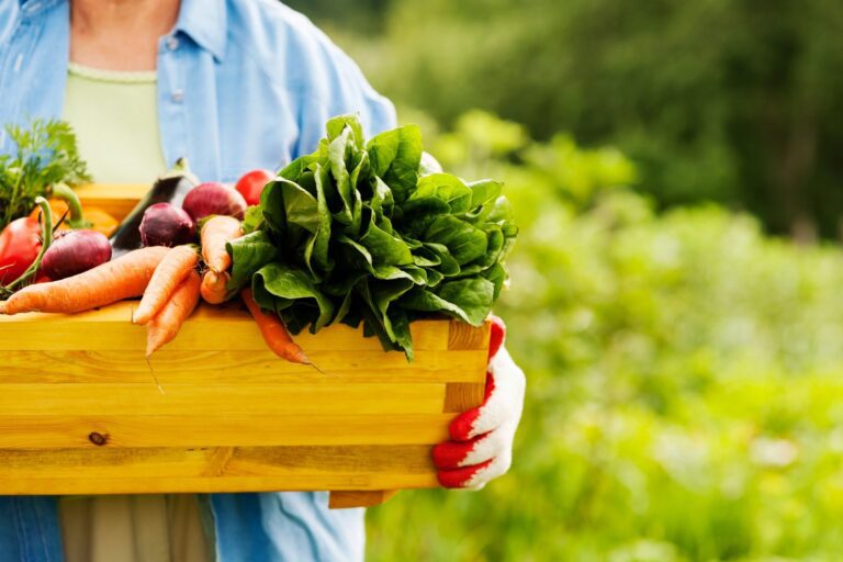 A person holding fresh vegetables in a wooden basket.