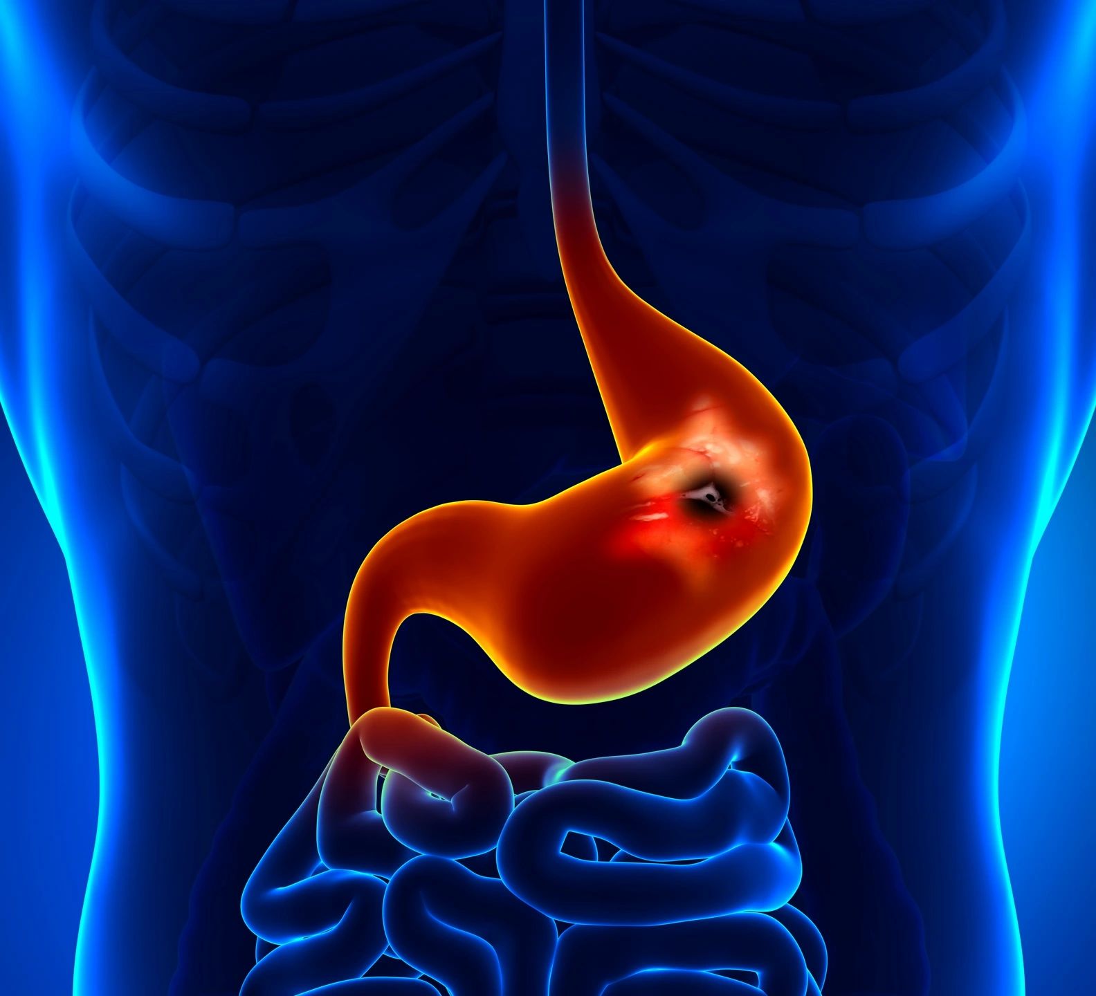 The Gut-Hormone Connection: How Digestive Health Affects Your Hormones